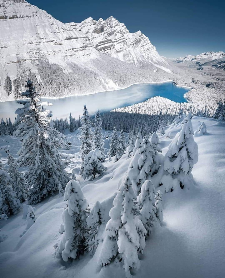 winter