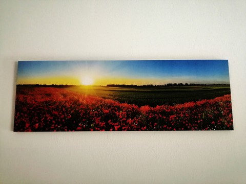 quadro