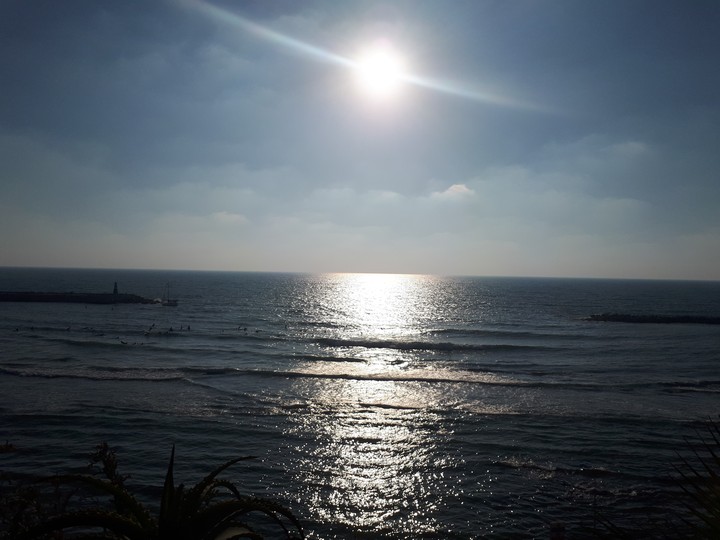 sea