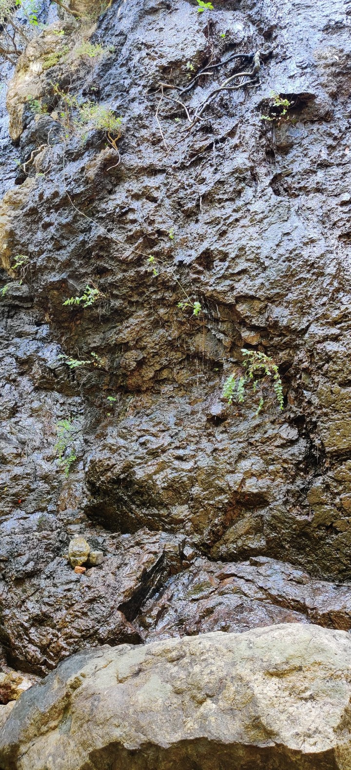 Rock wall