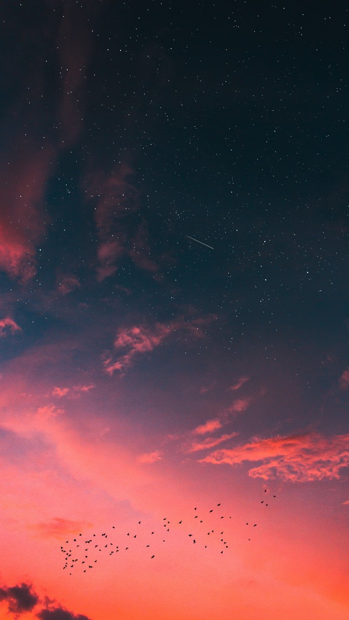 Night