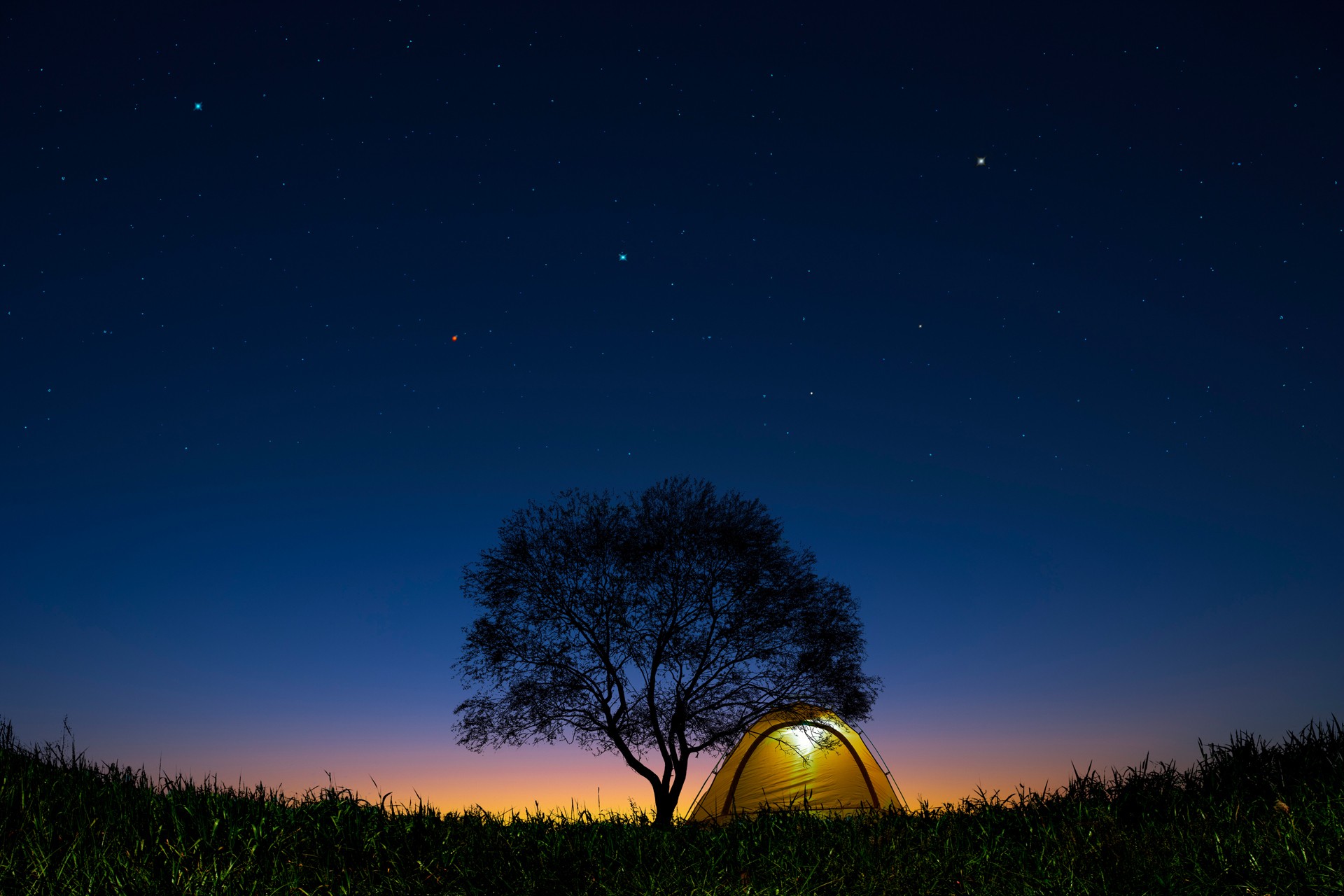 Stars in the Sky
