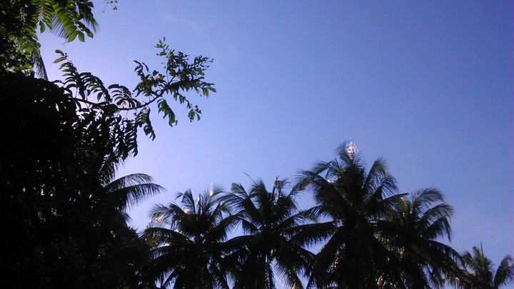 Sunday Morning.