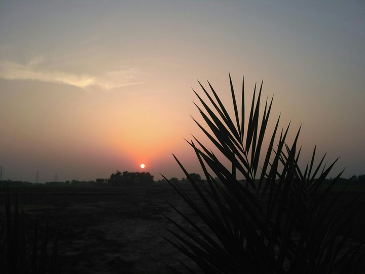 sun