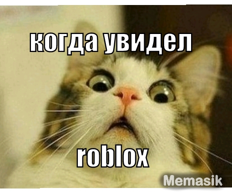 когда увидел роблокс