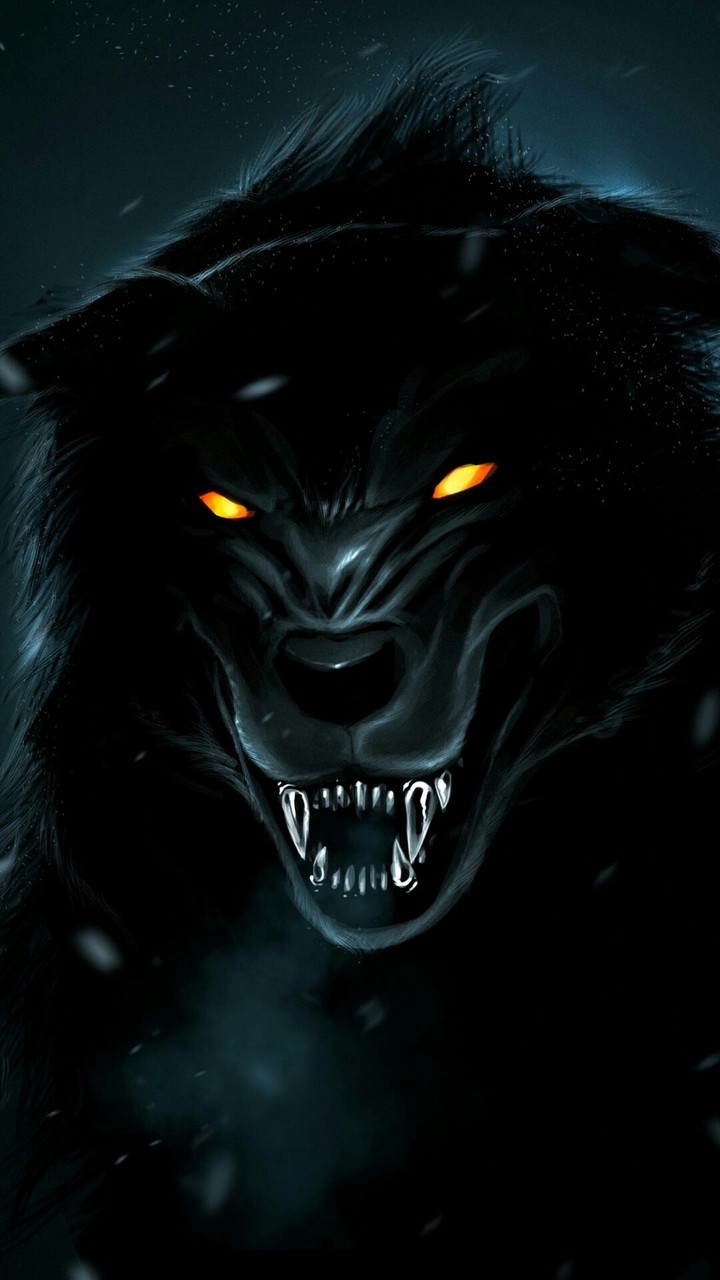 wolf