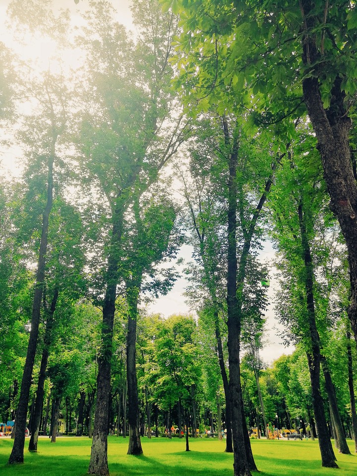 Прогулка в парке