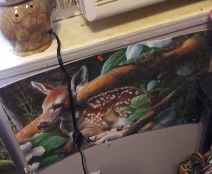 PUZZLE I PUT TOGETHER