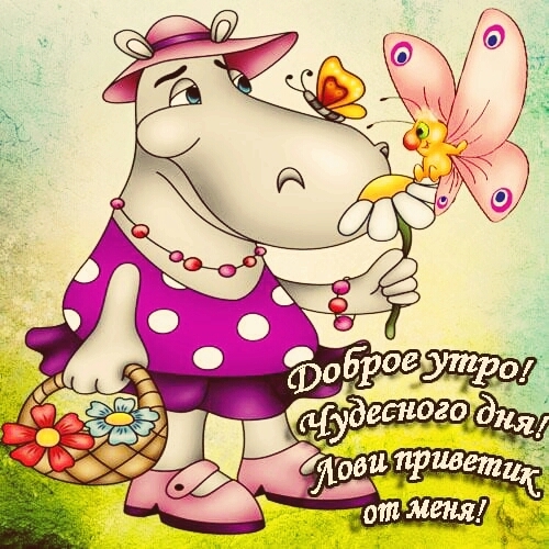 доброе утро