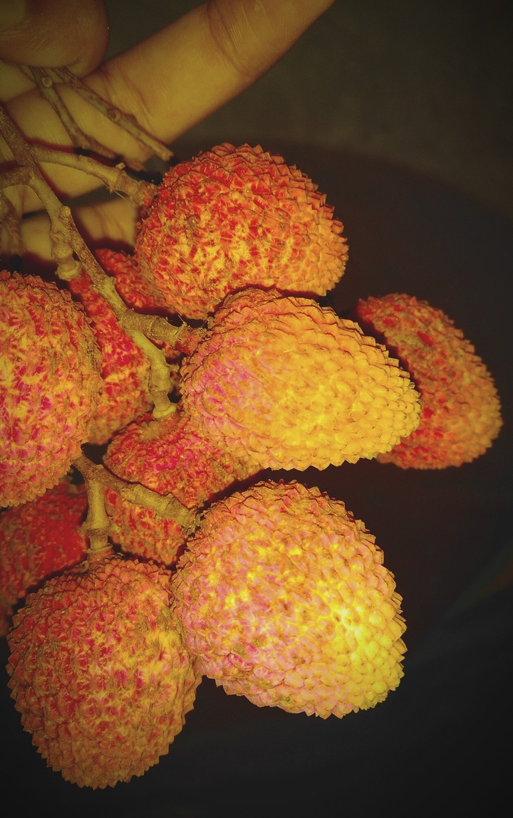 lichi
