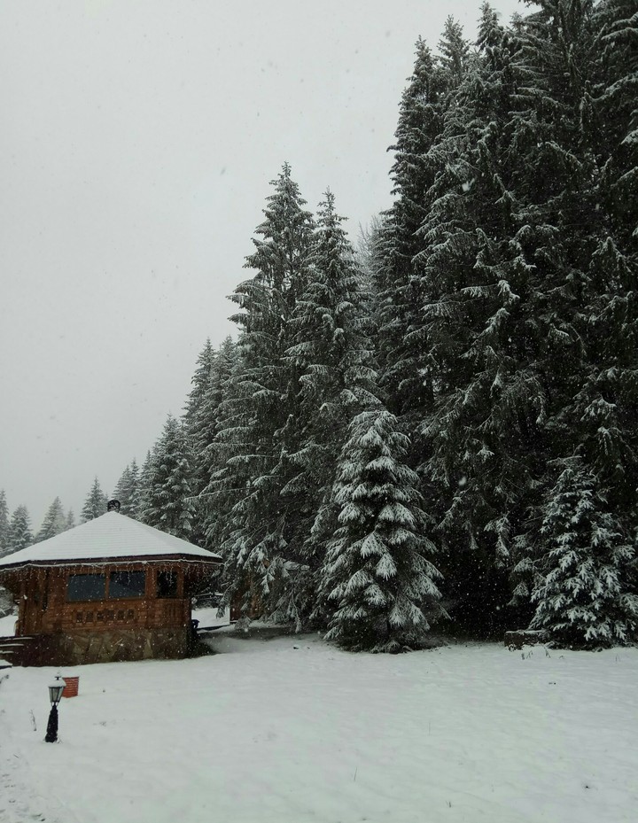 гори, mountains, Ukraine
