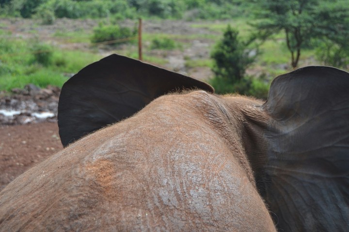 Kenya