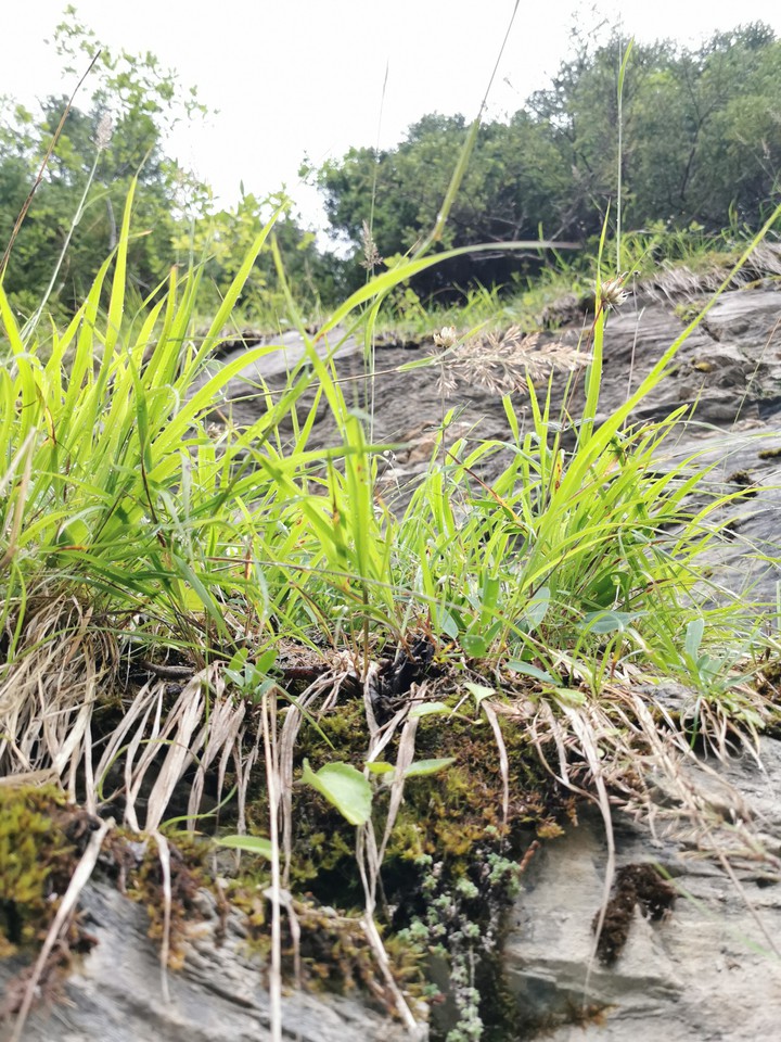 Le long d'une falaise