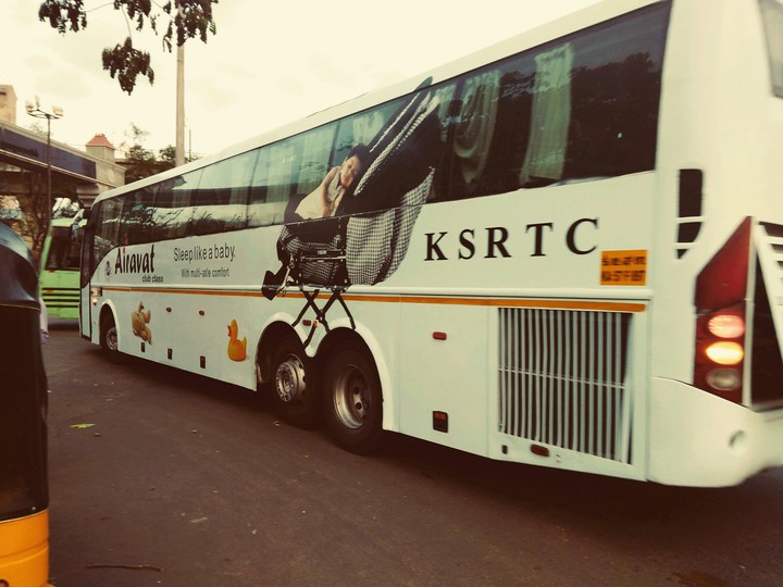 Bus