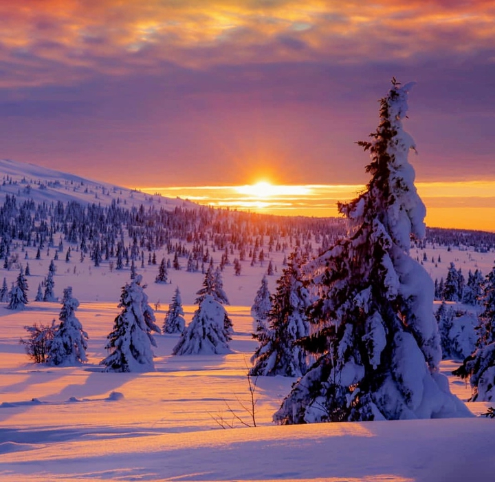 Alpes
