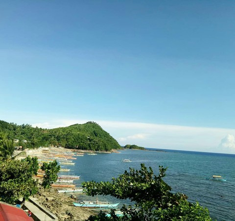 life by the sea