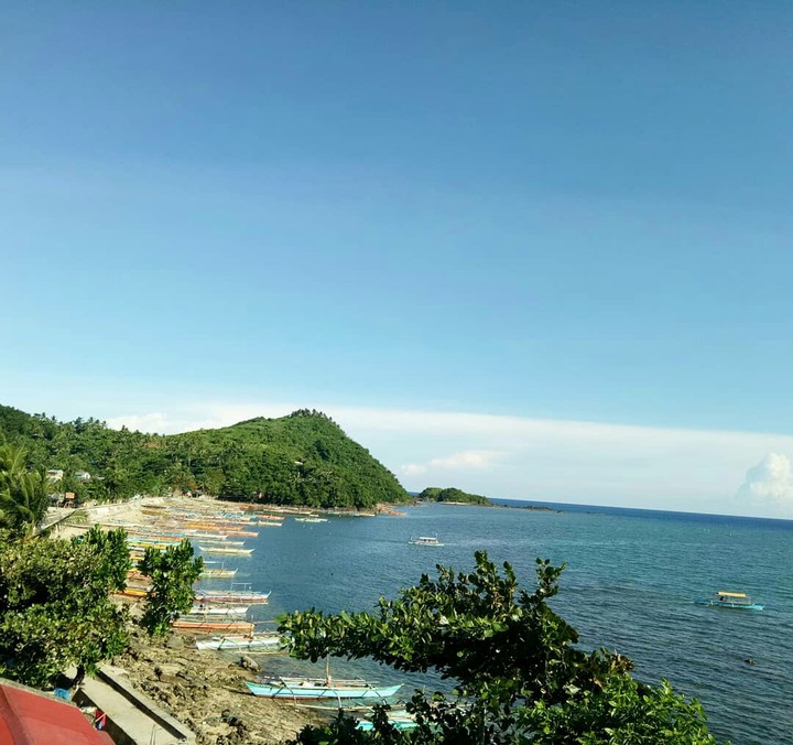 life by the sea