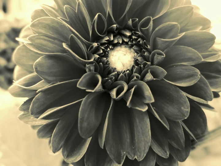 black & white