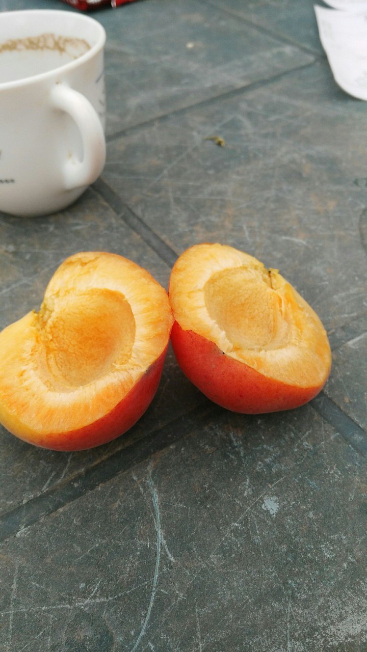 mmm