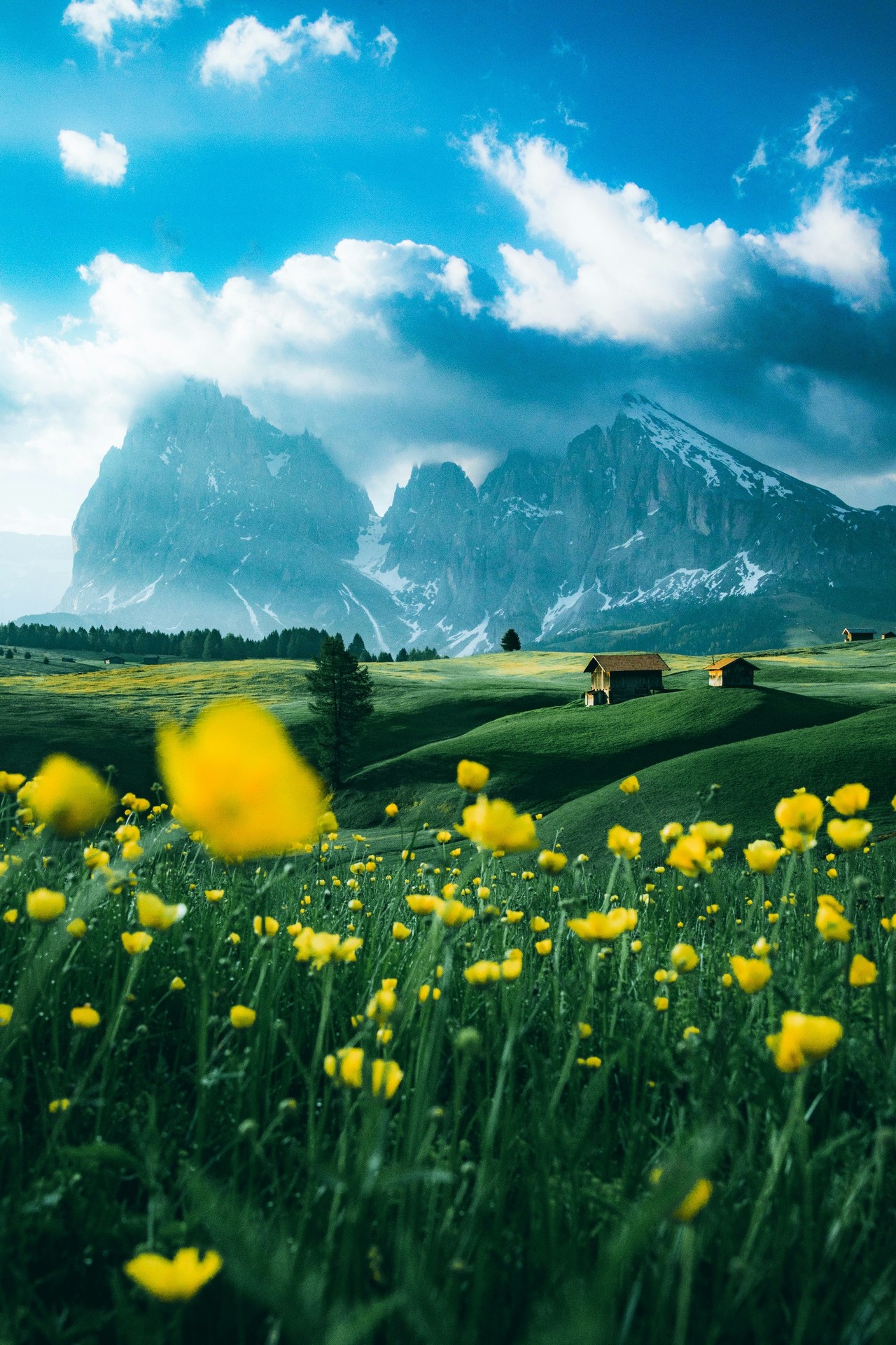 тапети meadow, cloud