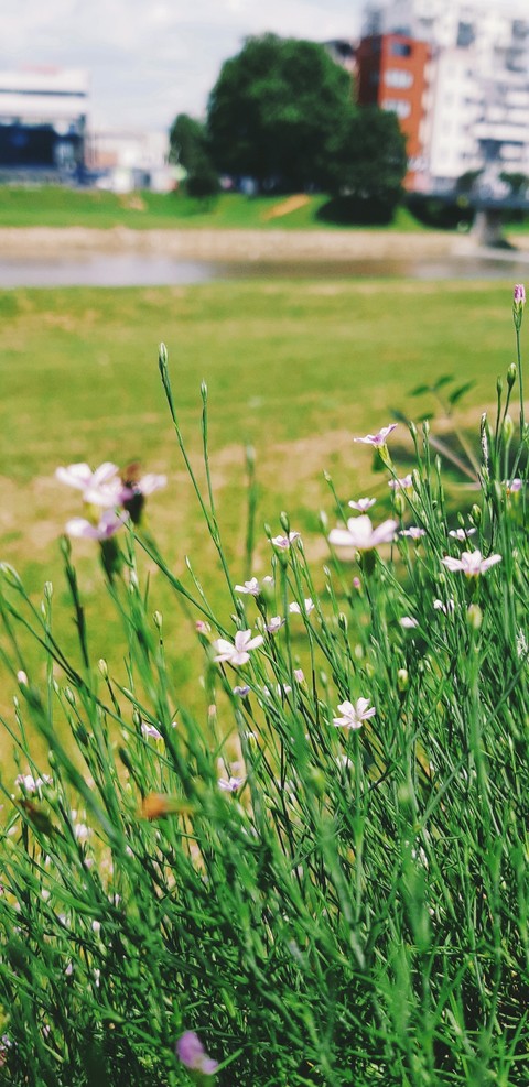Summer