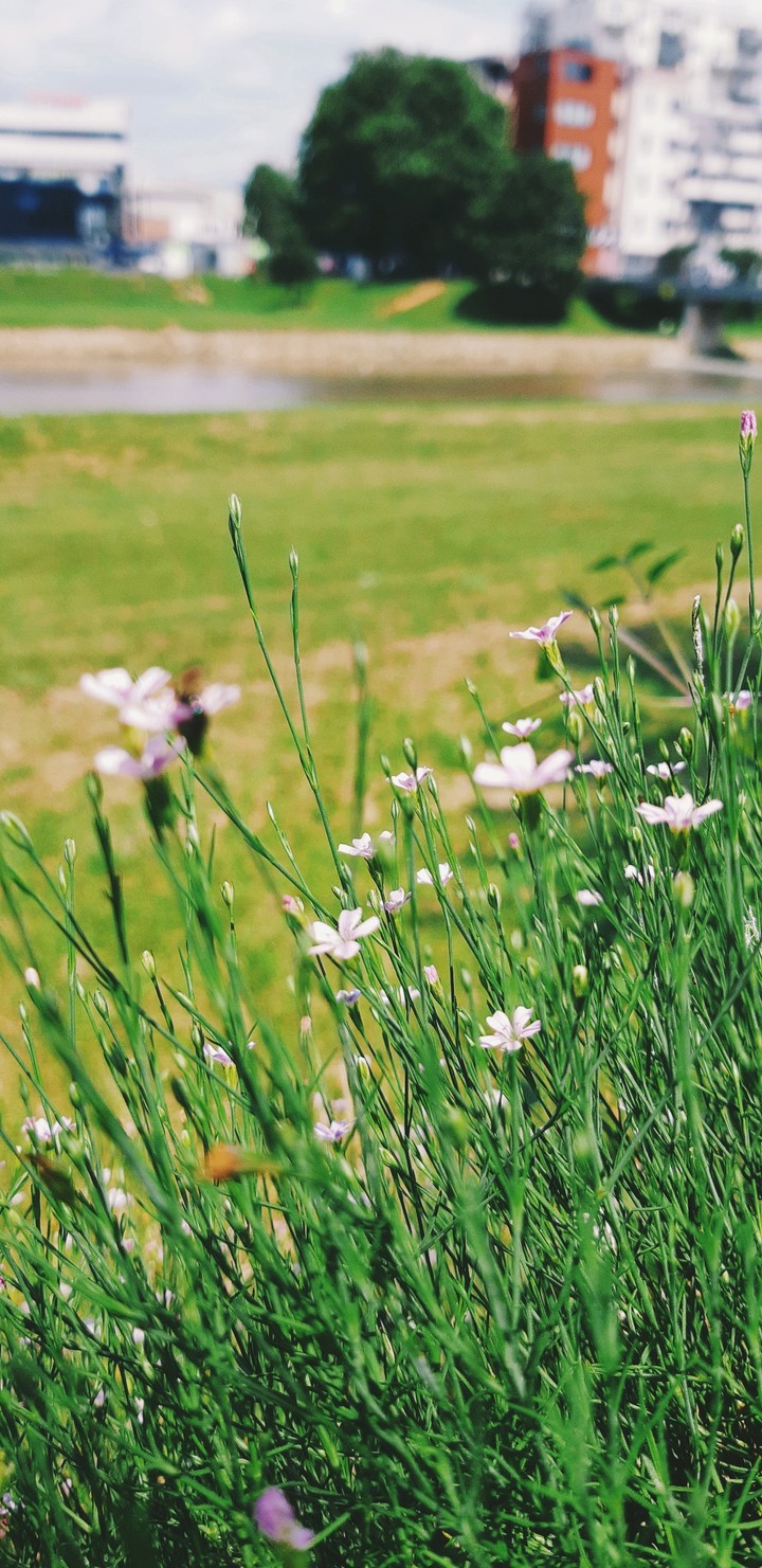 Summer