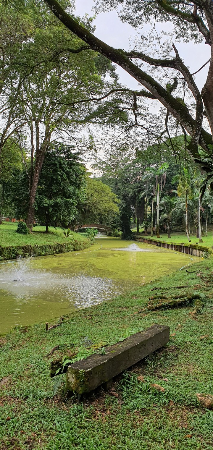park
