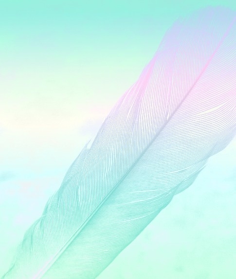 amazing wallpaper