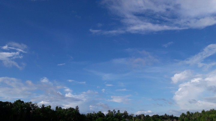 Blue beayty