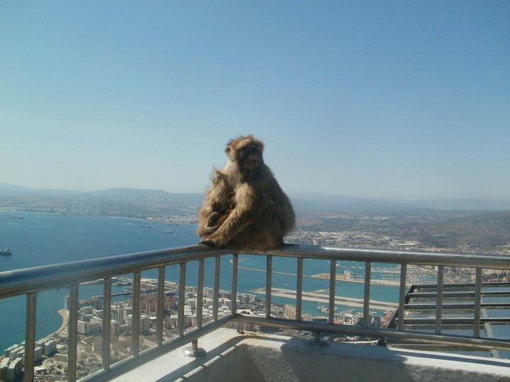 Gibraltar
