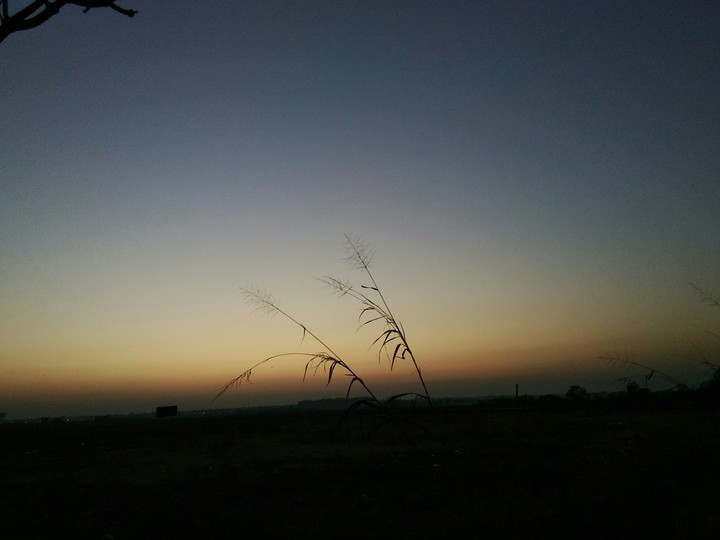 evenings