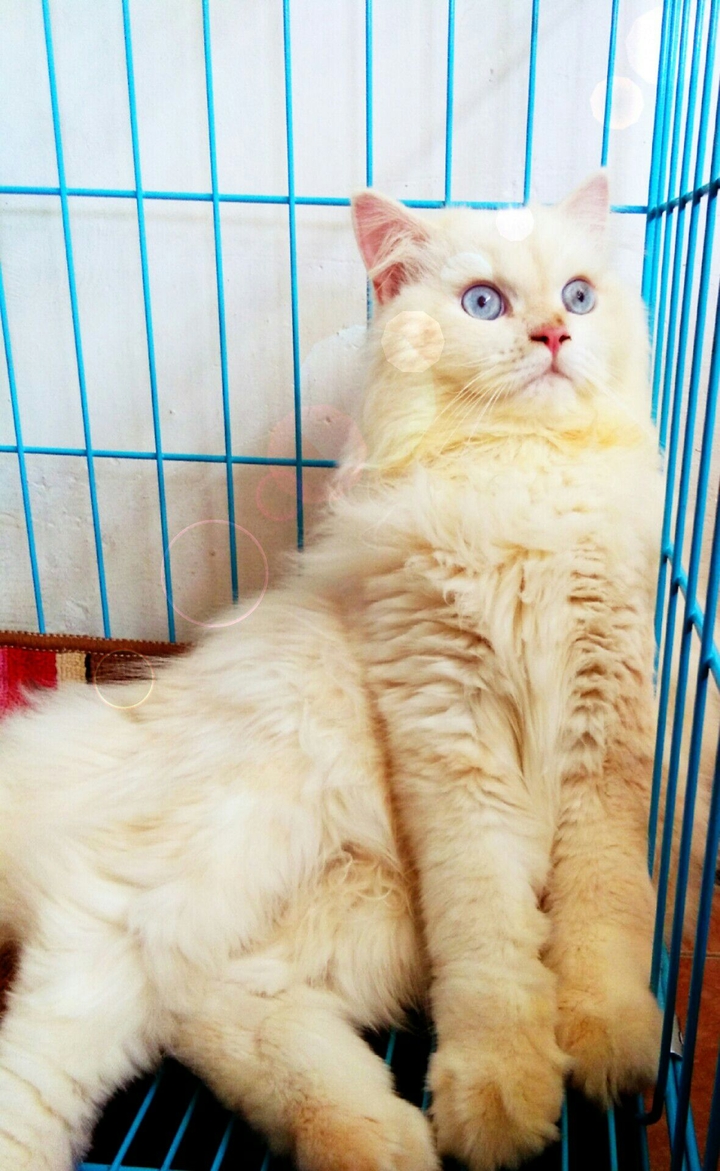 (´⊙ω⊙`)