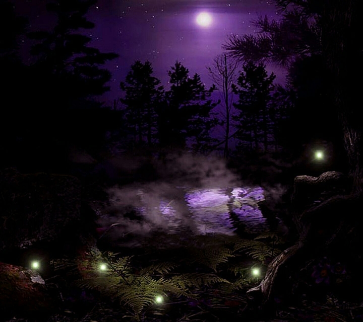 Magic night