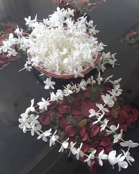 عمري