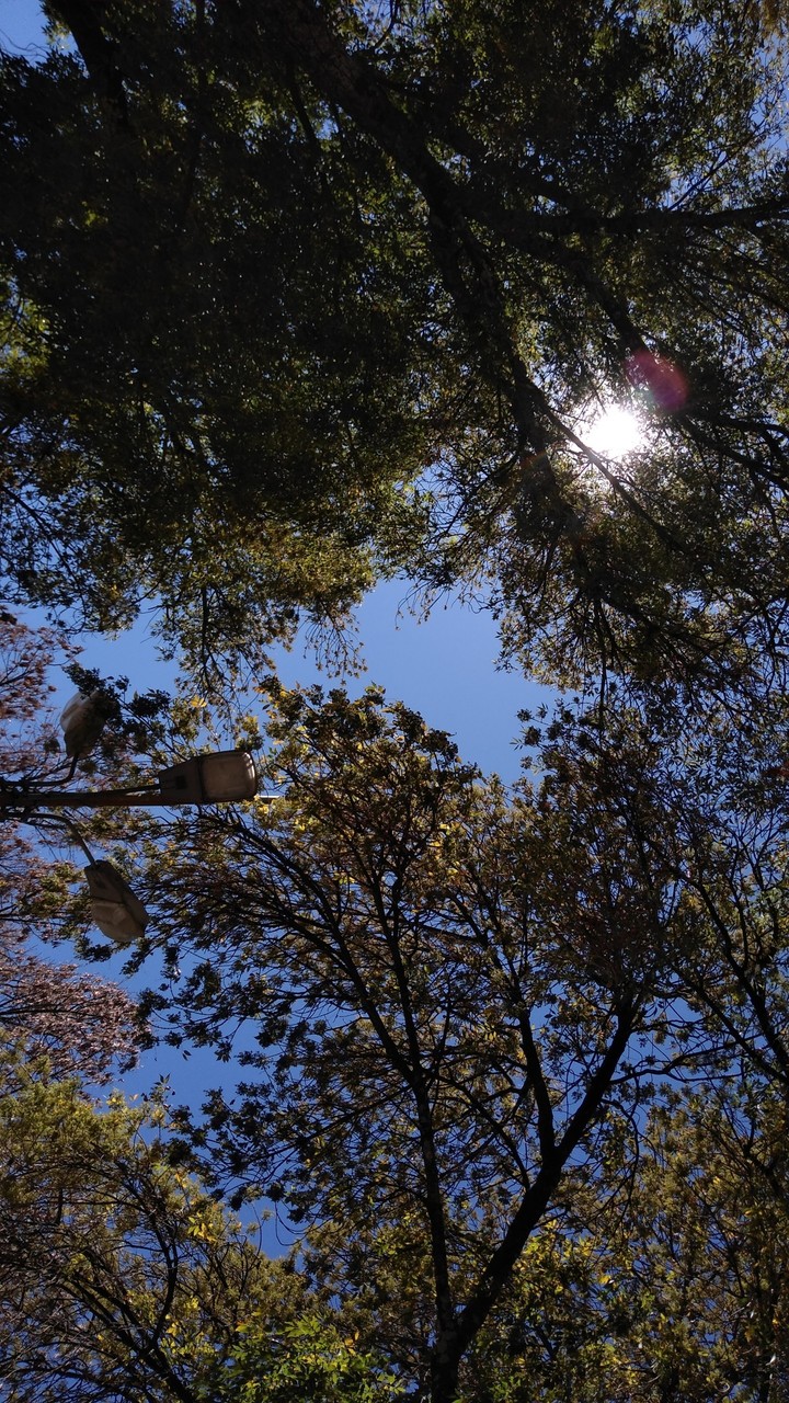 un poco de luz para este alma que quiere calor...