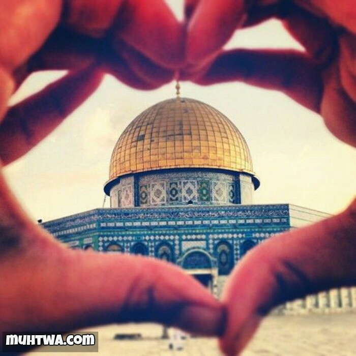القدس... قلب ينبض