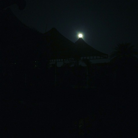 moonlight