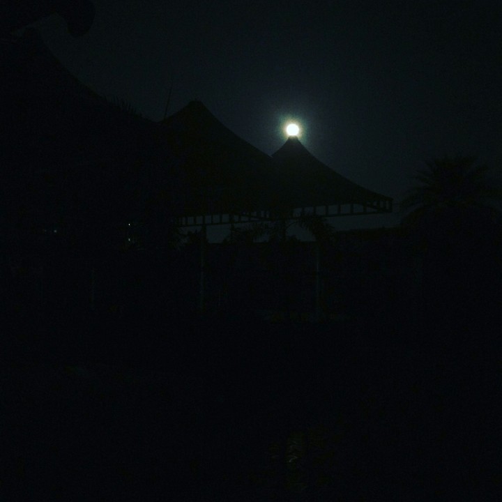 moonlight