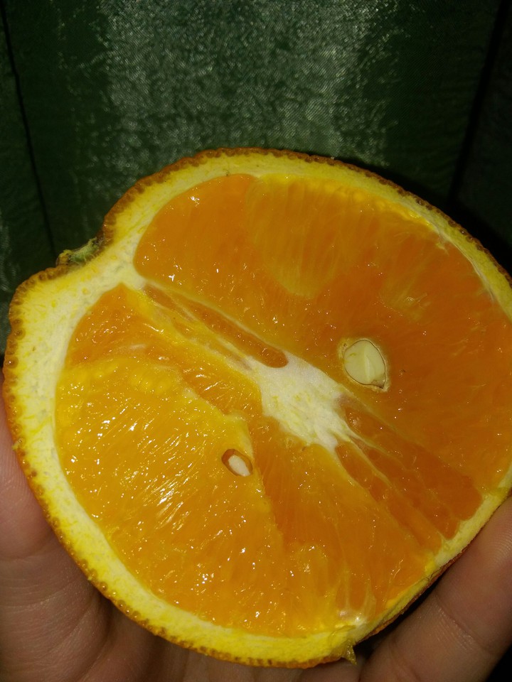 Apelsin?
