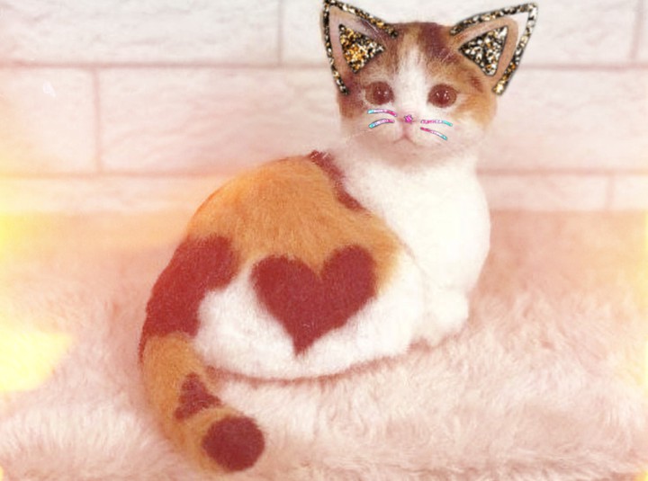 kitty