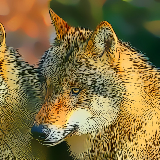 Wolfe