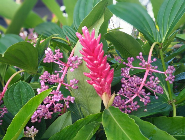 ความสดใส