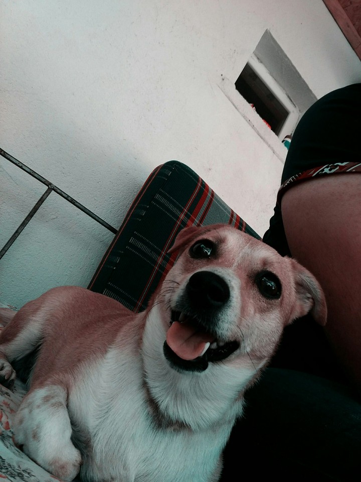 mayk