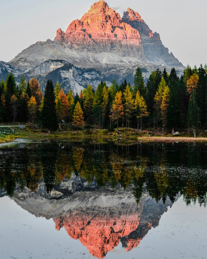 Wild nature