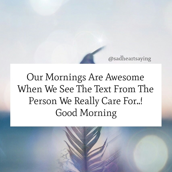 Quotes
