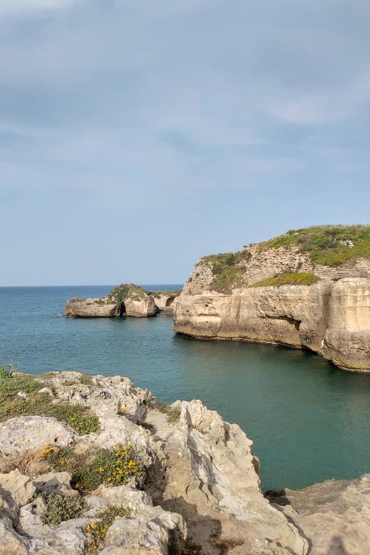 Mare