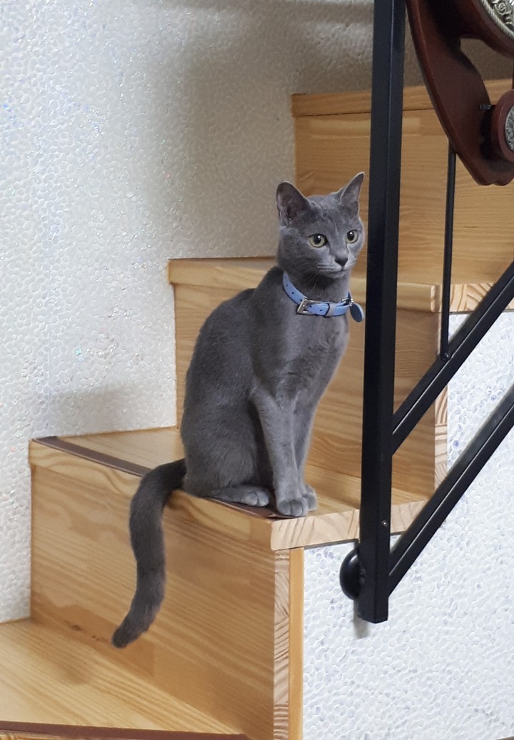 이름은 후추