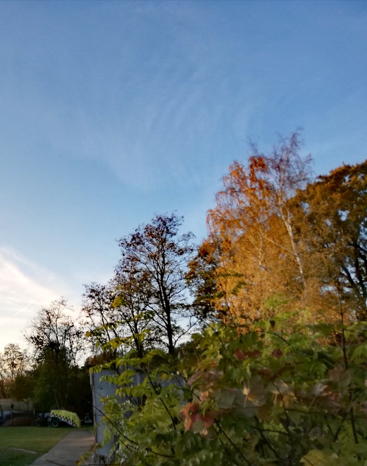 Herbstzeit