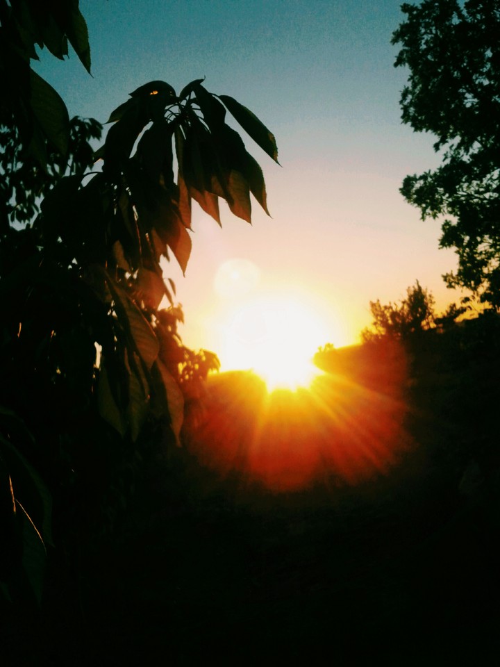 Sunset 