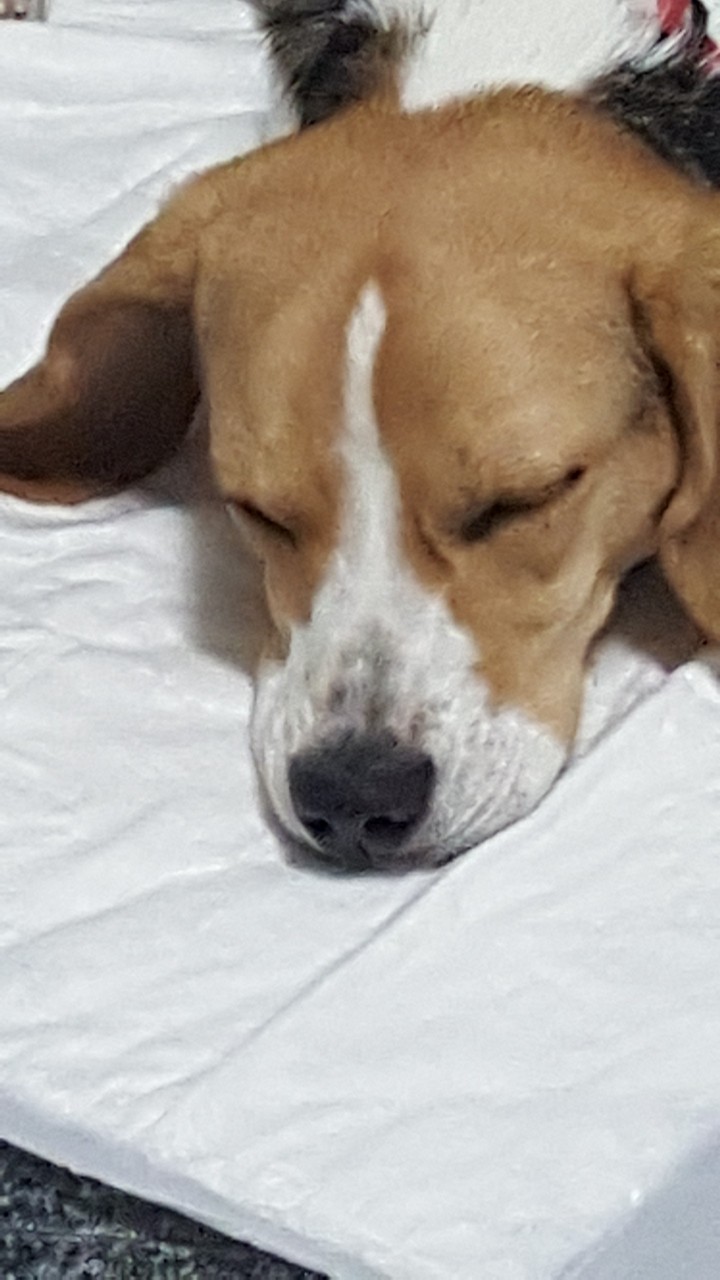 sono bom❤